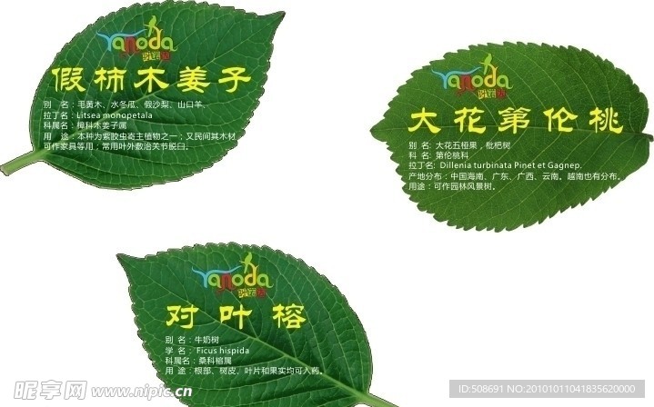 树叶形状植物牌