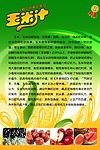 玉米汁广告模版