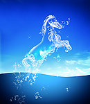 水珠马