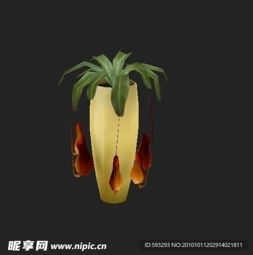 植物