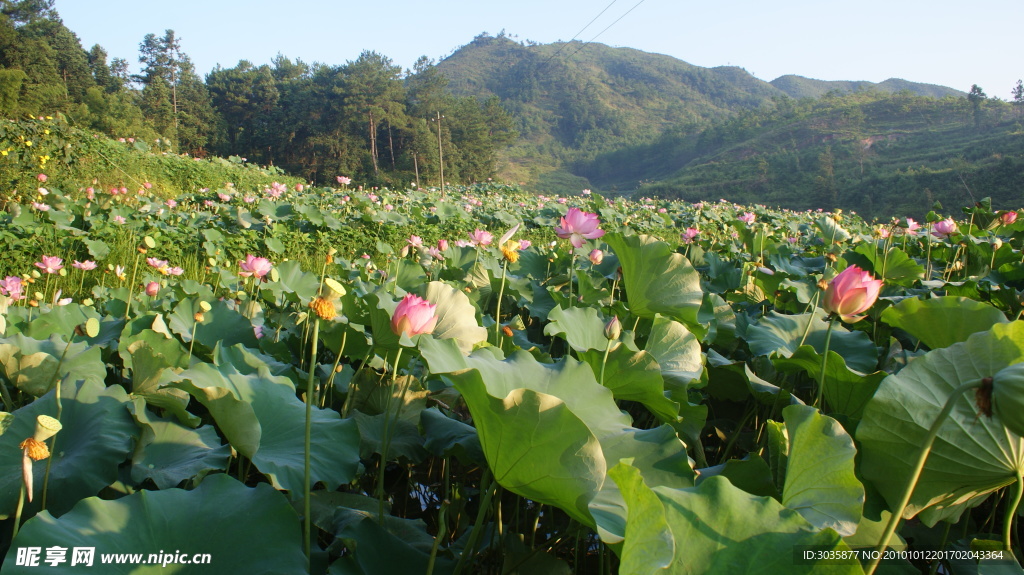 江西风光