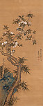 白头鸟