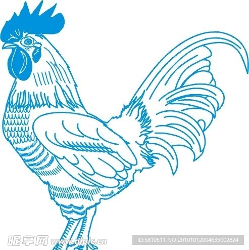 大公鸡