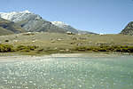 山中湖边风景