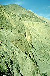 山坡风景