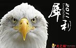 龙之媒广告公司
