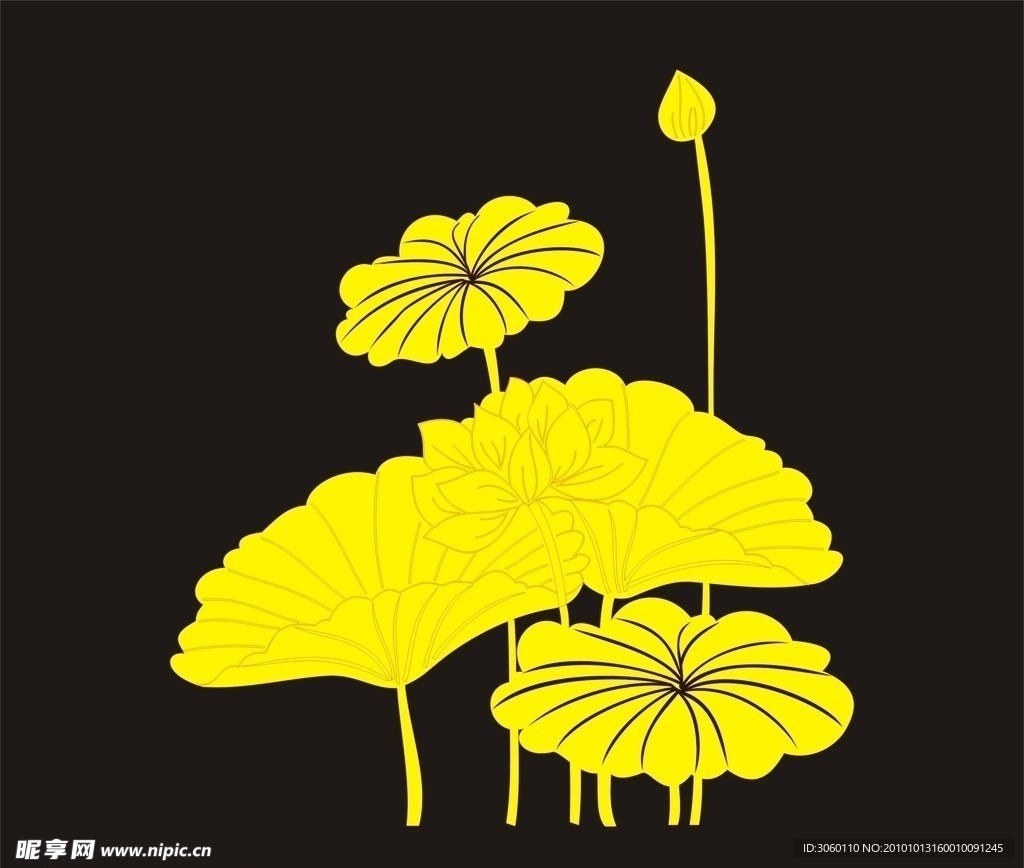 荷花 矢量
