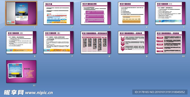 项目中国PPT（图文版）