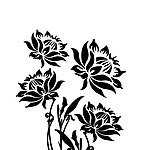 莲花