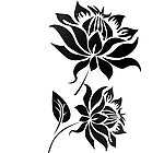 莲花
