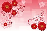 花朵朵