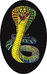 蛇 SNAKE 动物