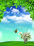 绿叶 蝴蝶 草地