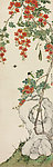 花卉草虫