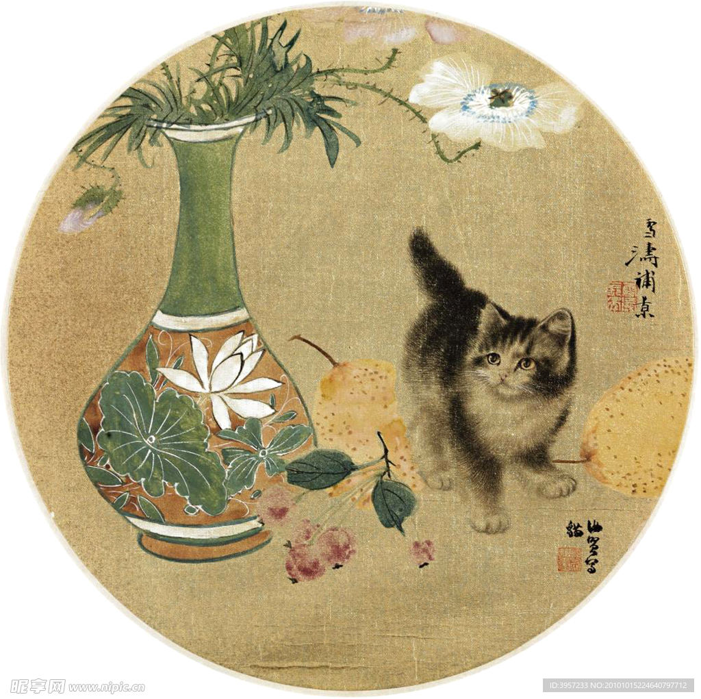 花瓶小猫