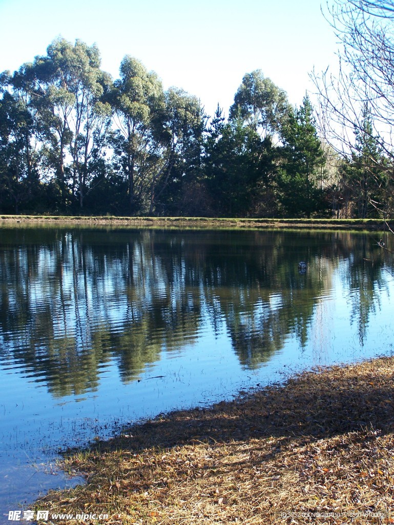 湖泊景色