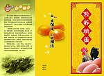 营养鸡蛋三折页