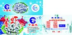 青虾仁包装