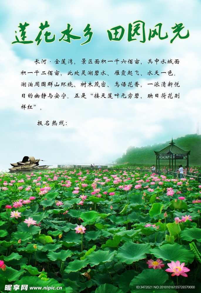 莲花水乡田园风光