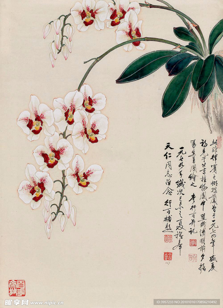 花卉