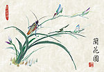 国画 兰花
