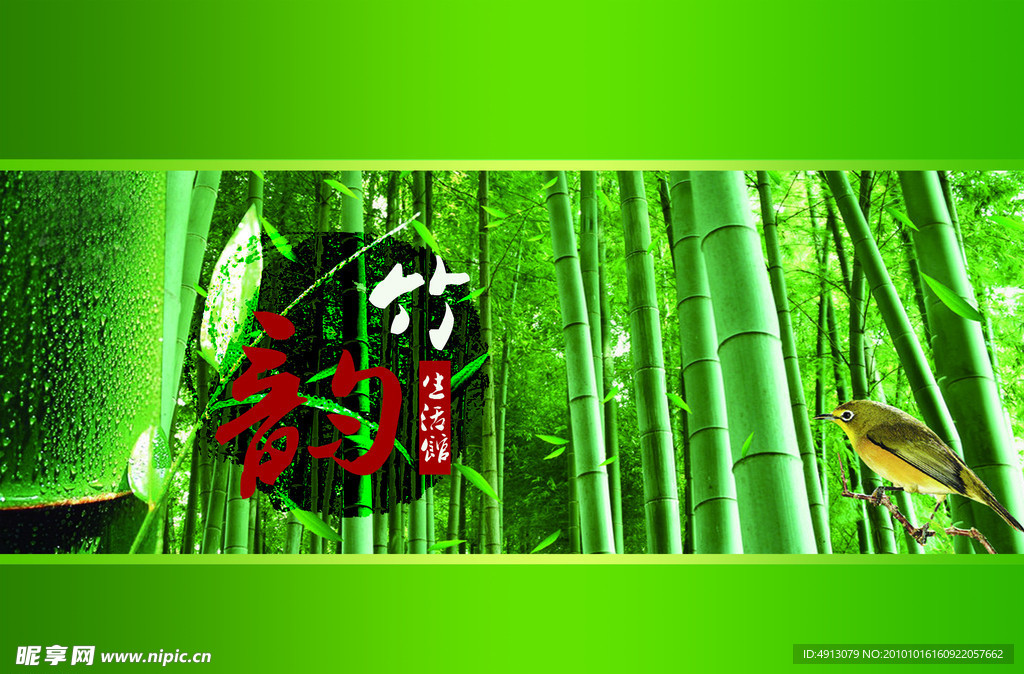 竹韵