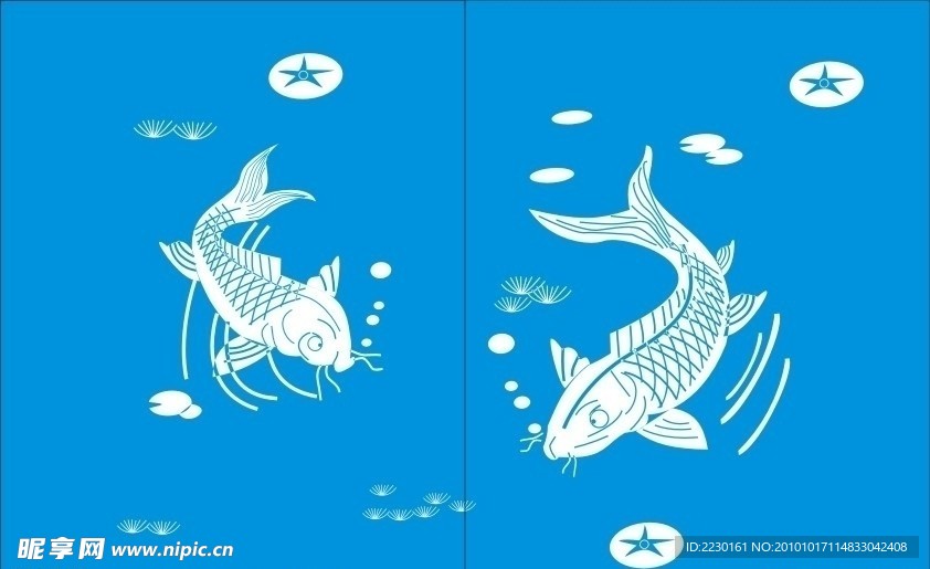 游泳的鱼
