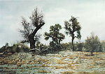 风景油画