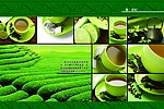 茶文化