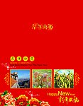 2011年贺卡