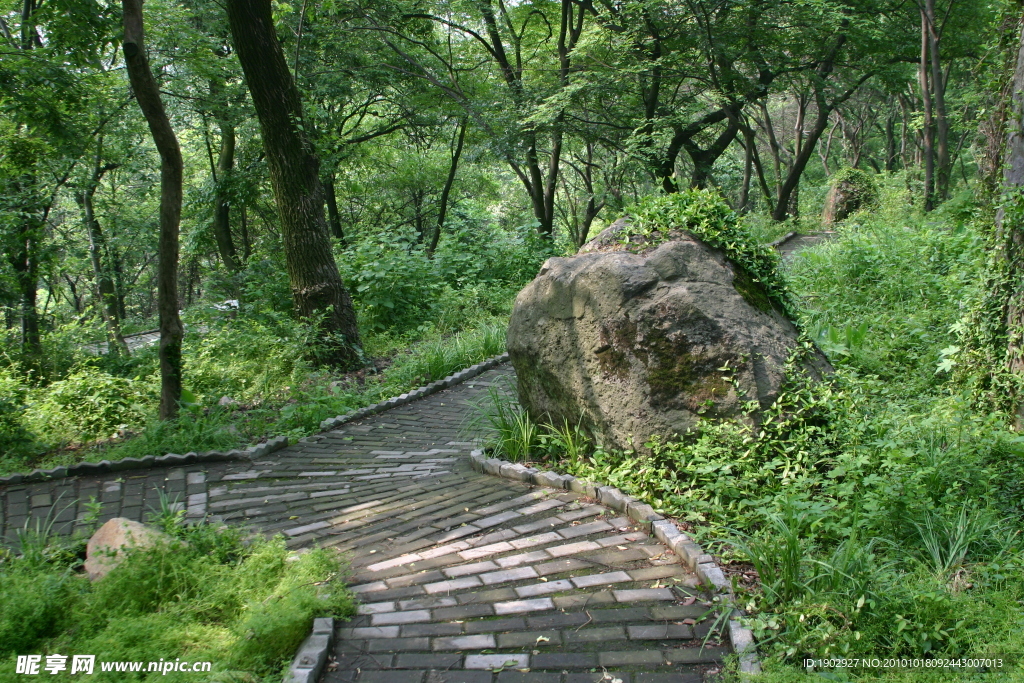 山间小路