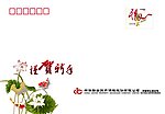 中华人寿贺卡封
