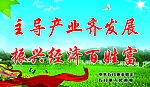 新农村