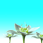 花朵背景底纹