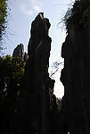 石林