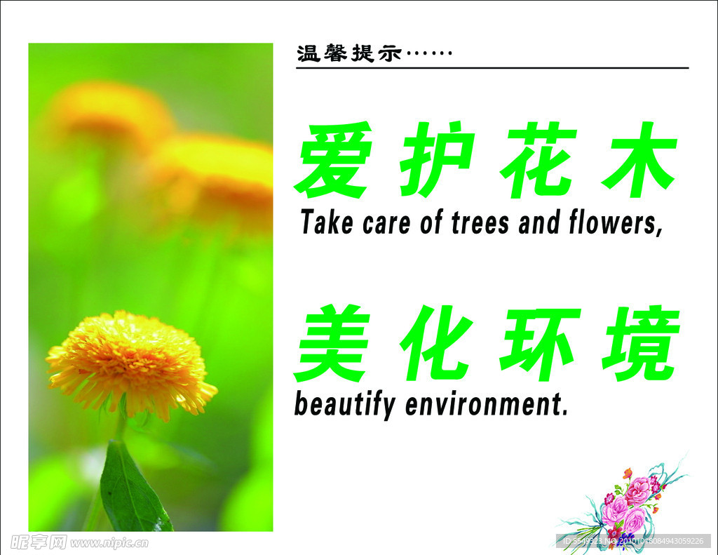 爱护花木