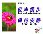 轻声慢步