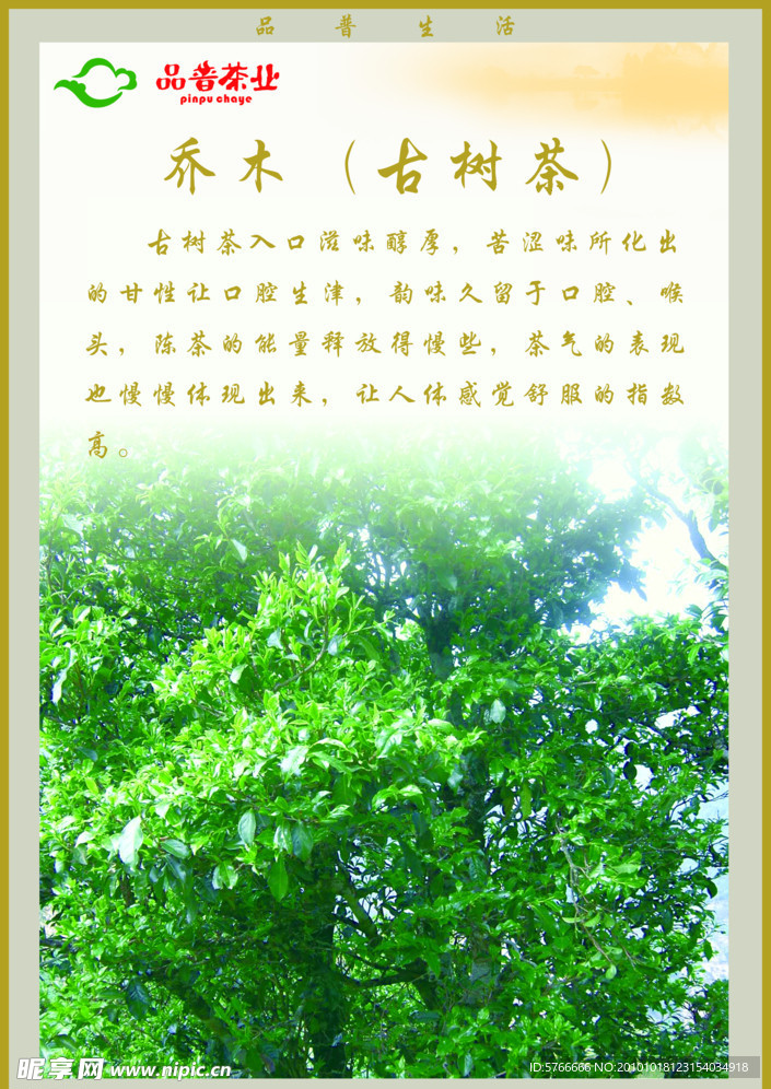 茶园