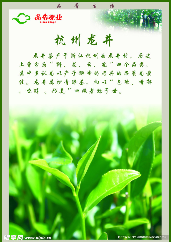 品普茶业 杭州龙井