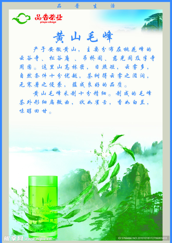 品普茶业 黄山毛峰