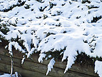 大雪覆盖
