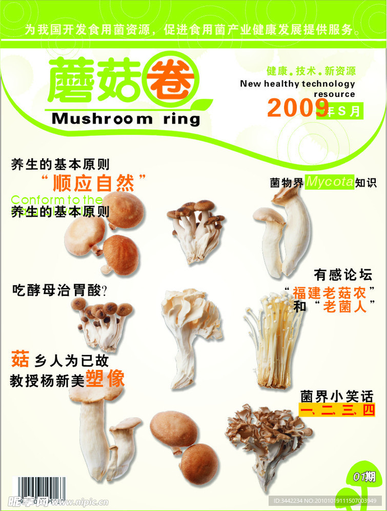 香菇 美食文化 绿色