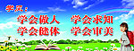 学校展板