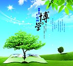 海报背景