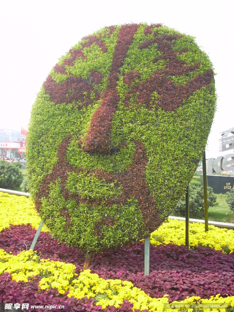 花素材