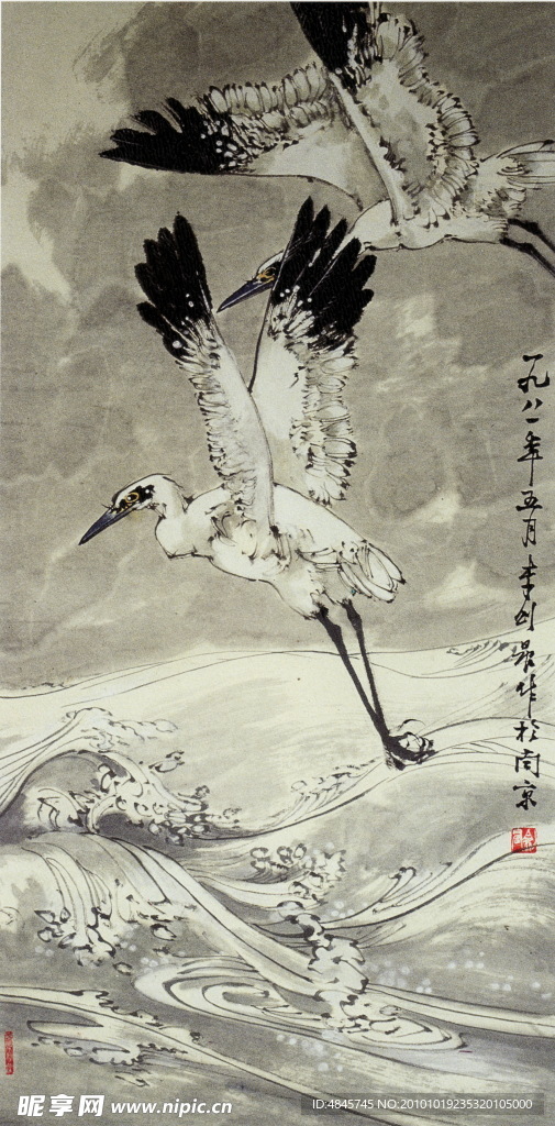 双鹭