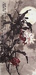昙花