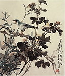 棉花兰鸟