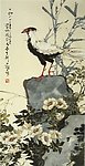 茶花