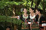 什么呀？